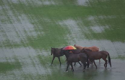 Raselili više od 11.000 ljudi u Maleziji zbog strašnih poplava