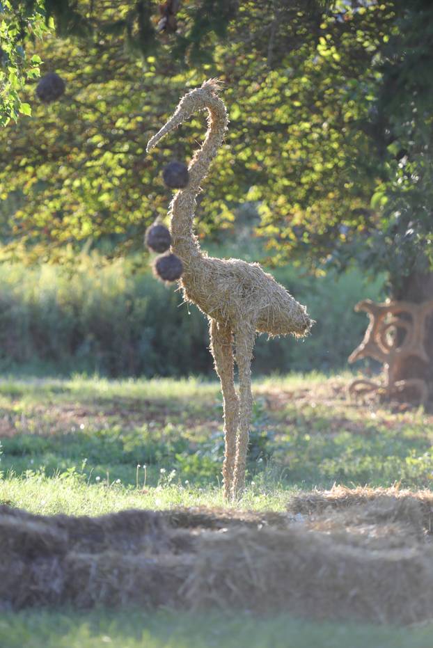 Kozjak : Održan 19. Slama festival - Sloboda