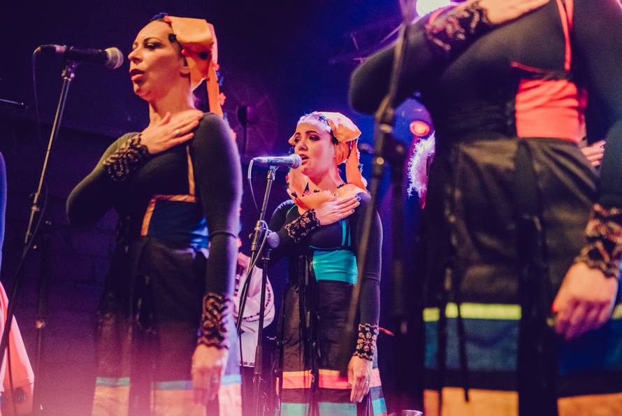 Radno ljeto za Ansambl LADO: Od Slavonije pa do Dalmacije