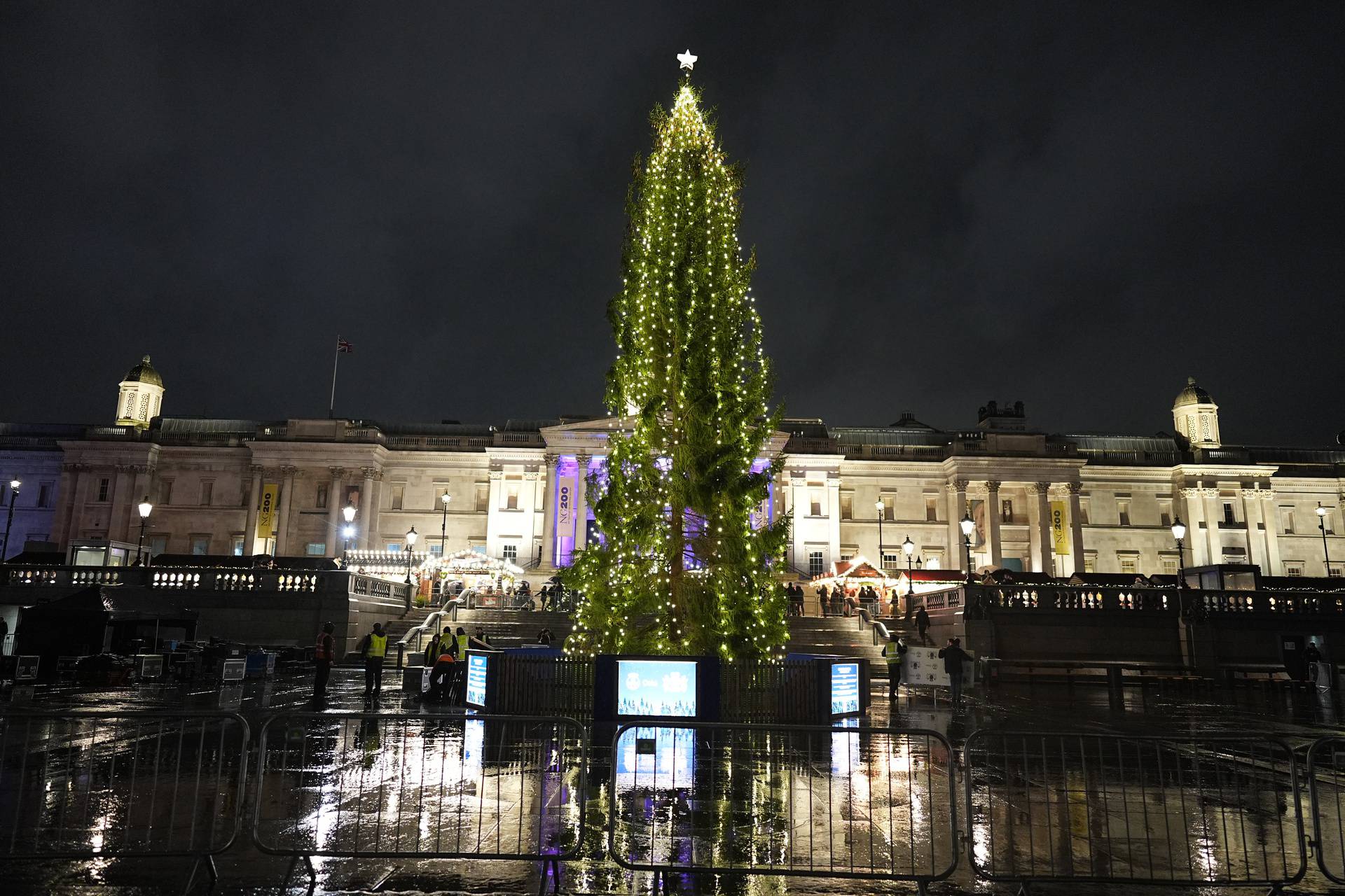 Trafalgar Square Christmas Tree