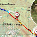 Drama na južnom Velebitu: Dvoje planinara je naišlo na medvjeda, u bijegu se izgubili