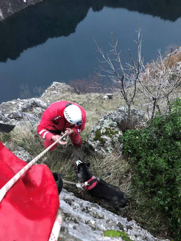 Preskočio je ogradu: HGSS s litice Modrog jezera spasio psa