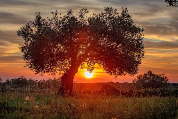 Top 30 spektakularnih zalazaka sunca diljem naše zemlje koji su nam uljepšali 2021. godinu