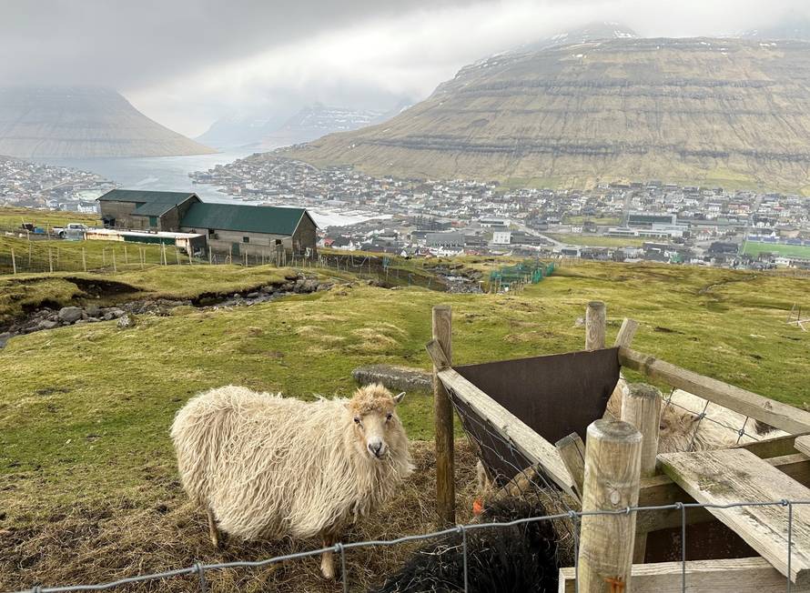 Impressions from Faroe Islands