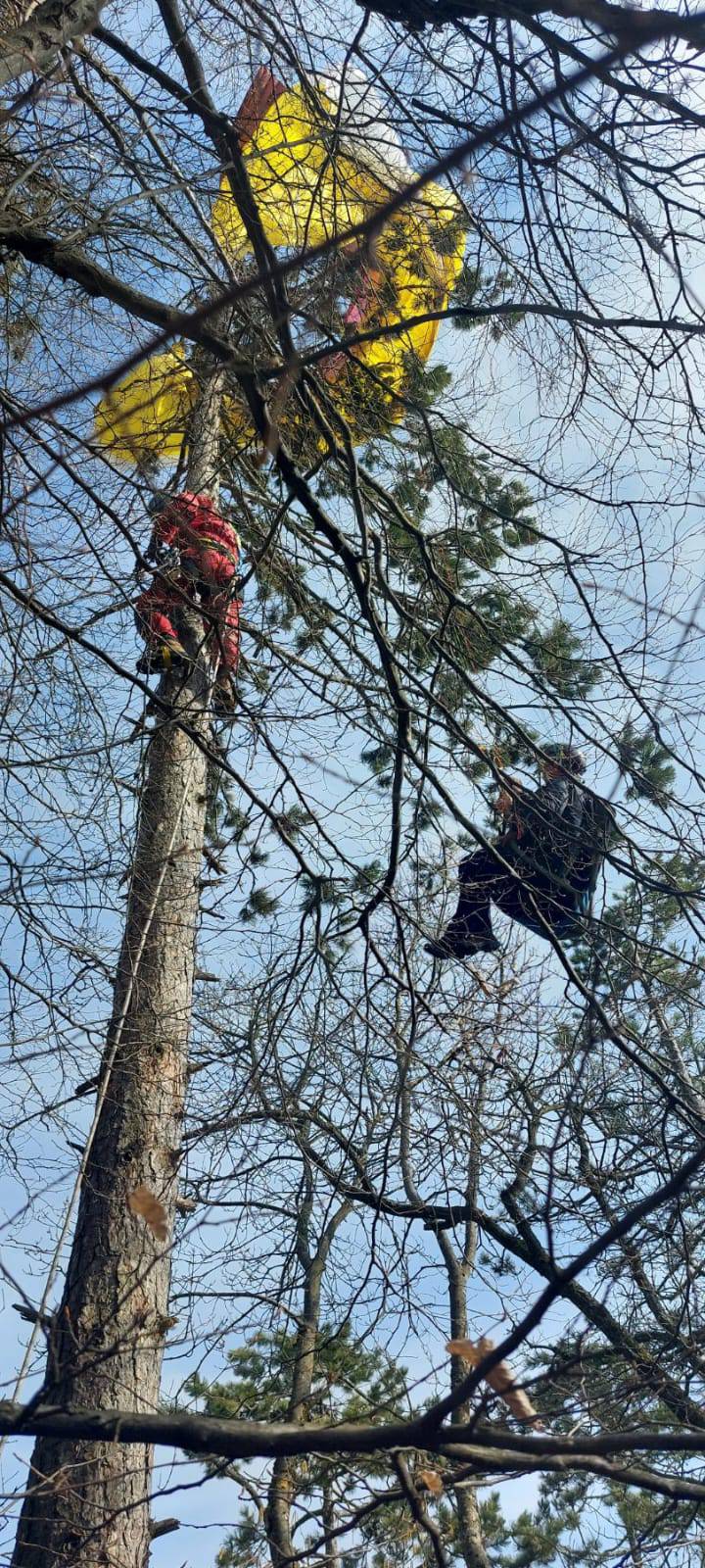 Paraglajder izgubio kontrolu i pao na stablo, HGSS ga spasio