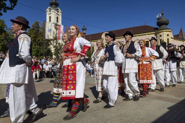 Vinkovci: Svečani mimohod sudionika 60. Vinkovačkih jeseni