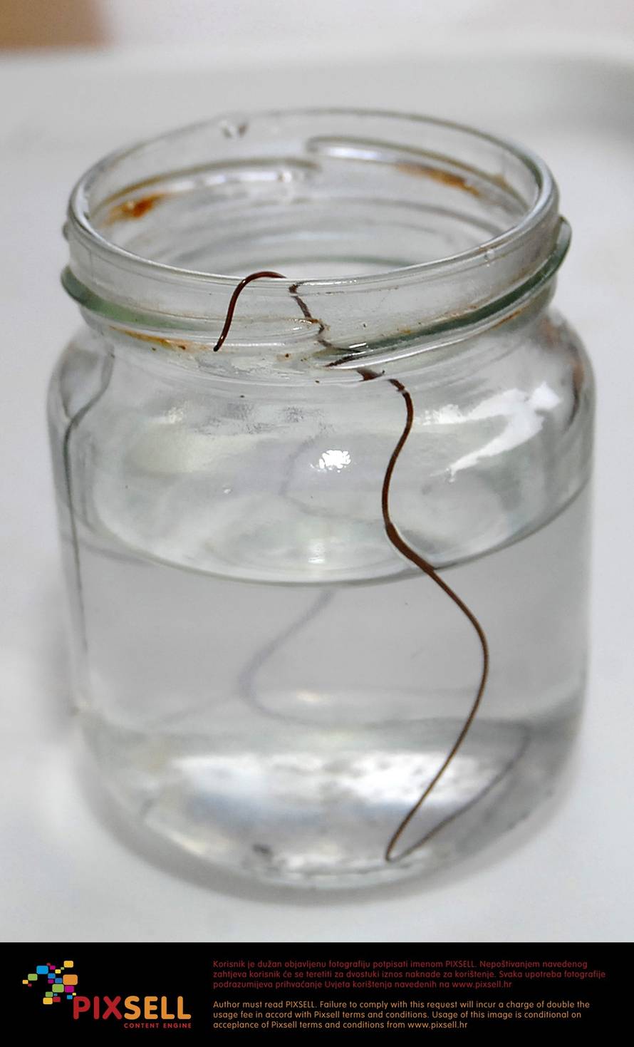 Nikola Čutuk/Pixsell