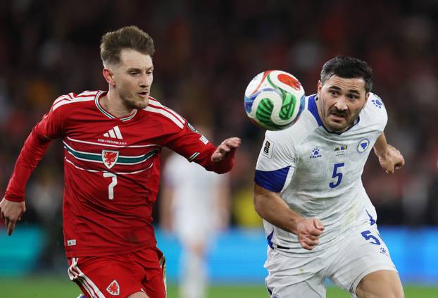 FIFA World Cup - UEFA Qualifiers - Semi Final - Wales v Bosnia and Herzegovina