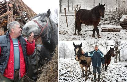 Spasio 16 konja u potresu, ali jedan nije izdržao: Pastuh mi se počeo tresti, srušio se i - uginuo