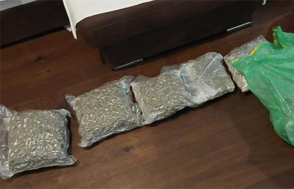 Kod Rijeke uhićeno više ljudi: Otkrili laboratorij, zaplijenili 6,6 kg marihuane, kokain...