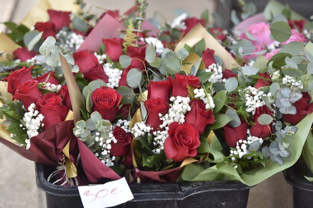 Šibenik: Kupovina cvijeća povodom Međunarodnog dana Žena