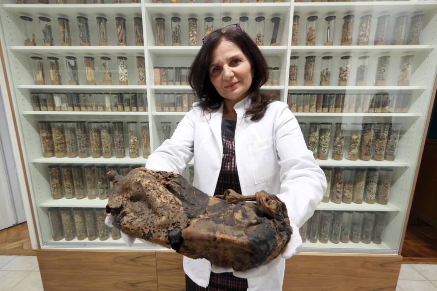 Veličanstvena zbirka: Opijum, španjolske mušice i afrodizijaci