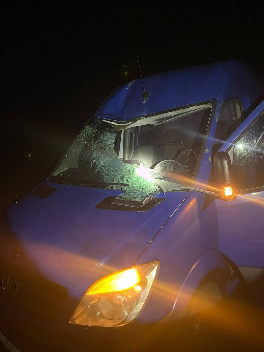 Nesreća kod Daruvara: Jelen mu je proletio kroz šajbu! Udario ga automobil iz suprotnog smjera