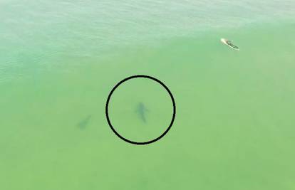 Dron snimio kako morski pas vreba surfera u blizini plaže