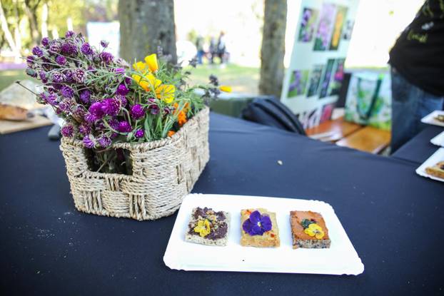 Zagreb: Ekotlon 2025