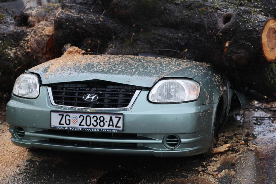 Zagreb: Nevrijeme srušilo stablo koje  je palo na automobil 