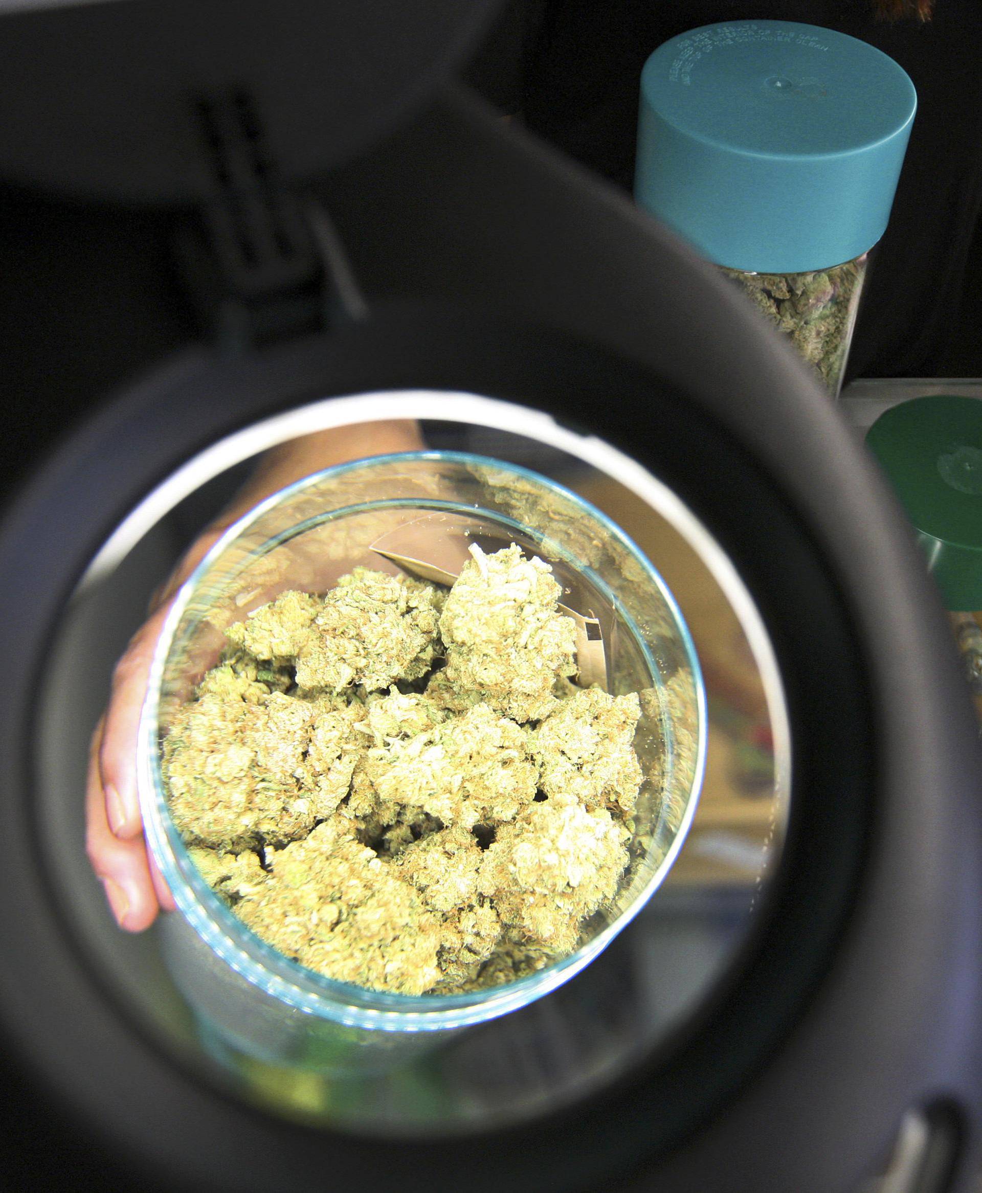 Marijuana is seen under a magnifier at the medical marijuana farmers market in Los Angeles