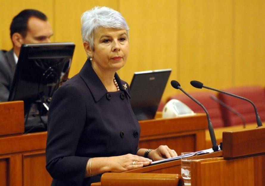 Davor Višnjić/Pixsell