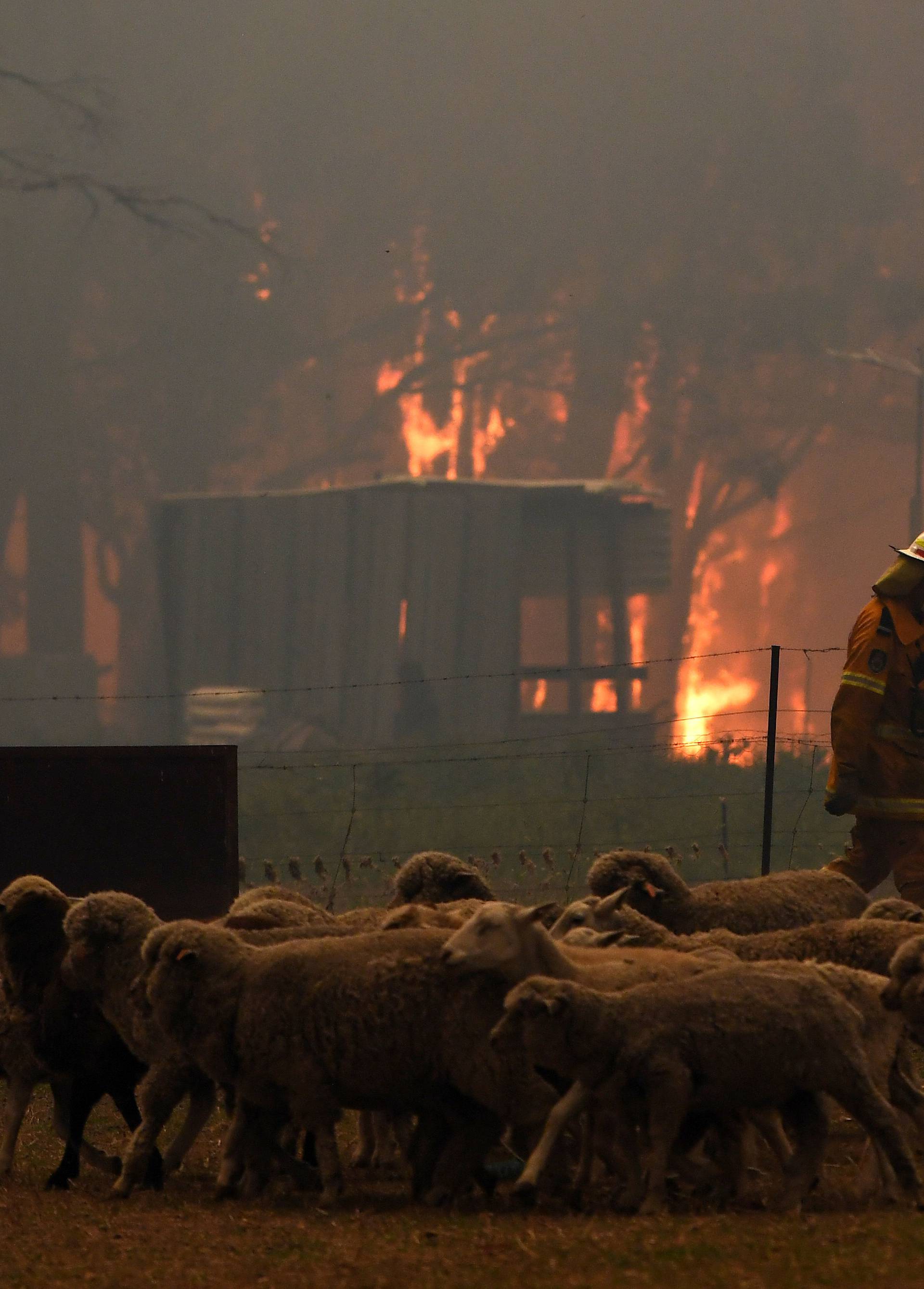 RFS crews engage in property protection of a number of homes along the Old Hume Highway as the Green Wattle Creek Fire threatens a number of communities in the southwest of Sydney