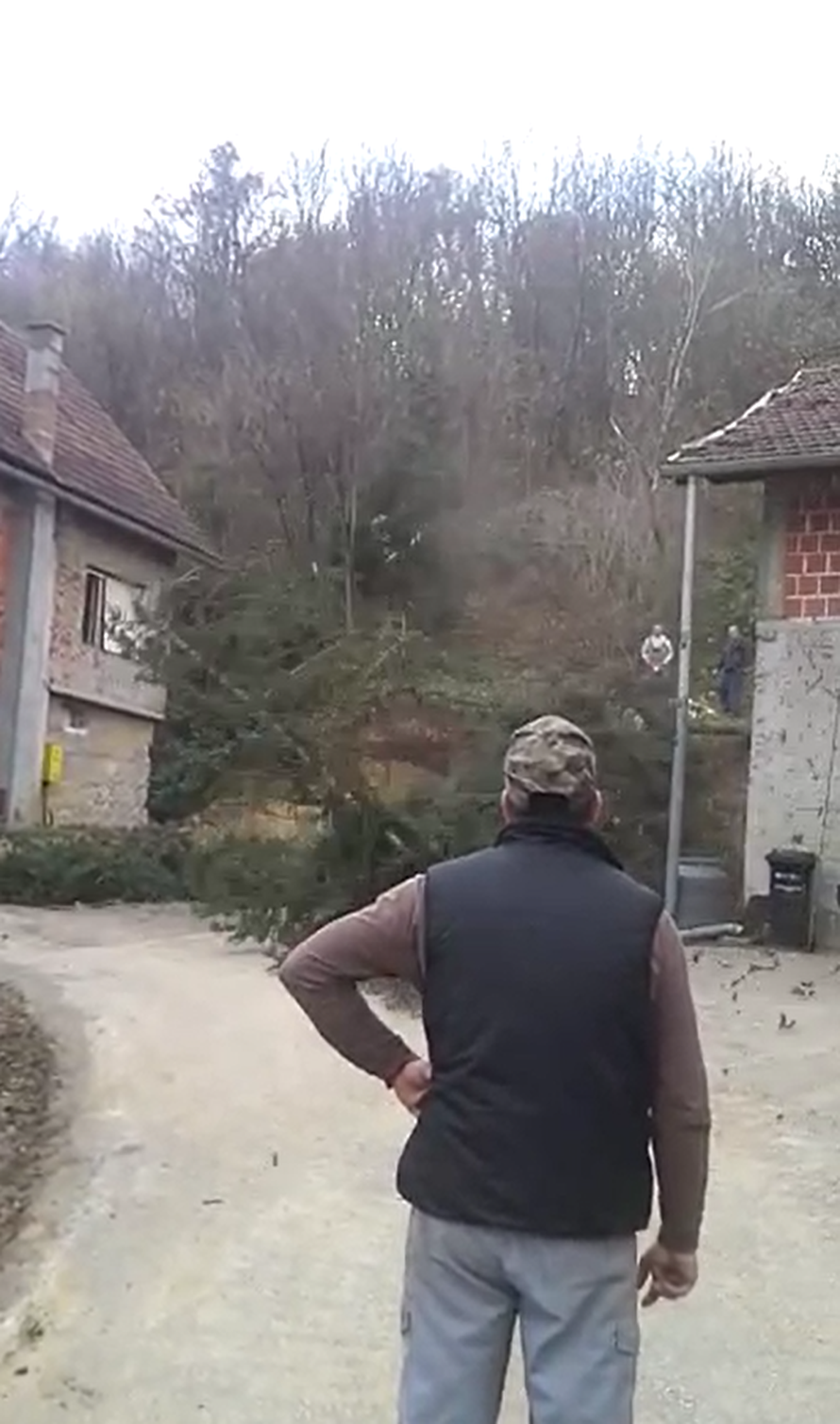 'Jesam ti rekel': Prijatelj rušio stablo i srušio mu ga na kuću!