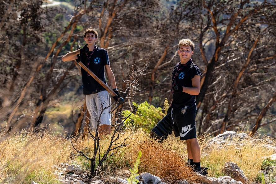 Krenula osma sezona Boranke, nastavljeno pošumljavanje požarišta na Biokovu