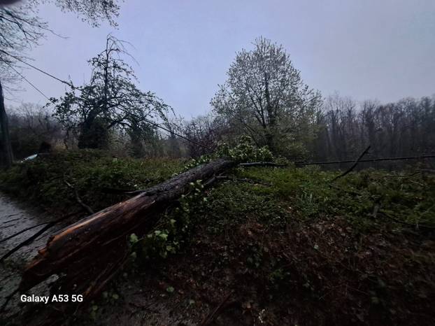 FOTO Apokalipsa u Zagrebu: Stabla drobila automobile, izdano novo upozorenje!