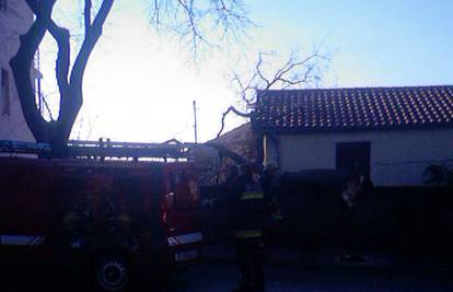 Bura je srušila stablo na kuću i prometnicu u riječkom naselju
