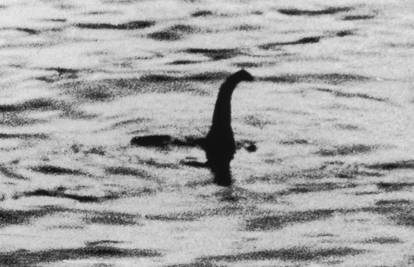 Čudovište iz Loch Nesa izronilo  drugi put u 11 dana? 'Vidio sam crno-zelenu grbu na površini'