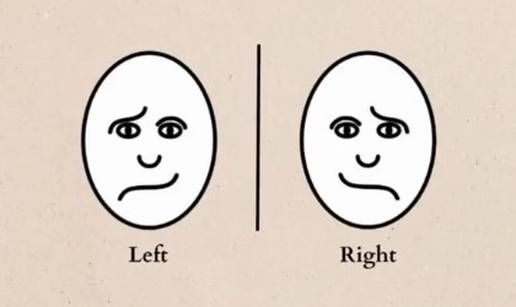 Test: Ono što prvo vidite u optičkoj iluziji pokazuje koja je strana mozga 'dominantnija'!