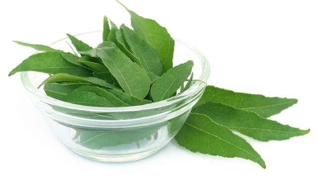 Curry Leaves in a bowl