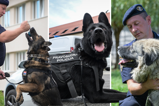 FOTO Oni su 'gazde' u Kaznionici u Lepoglavi: Upoznajte Gerryja, Jokera i neustra&scaron;ive &scaron;arplanince