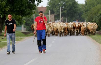 Markići: Dali smo iskaz DORH-u, mi i bikovi sada idemo kući