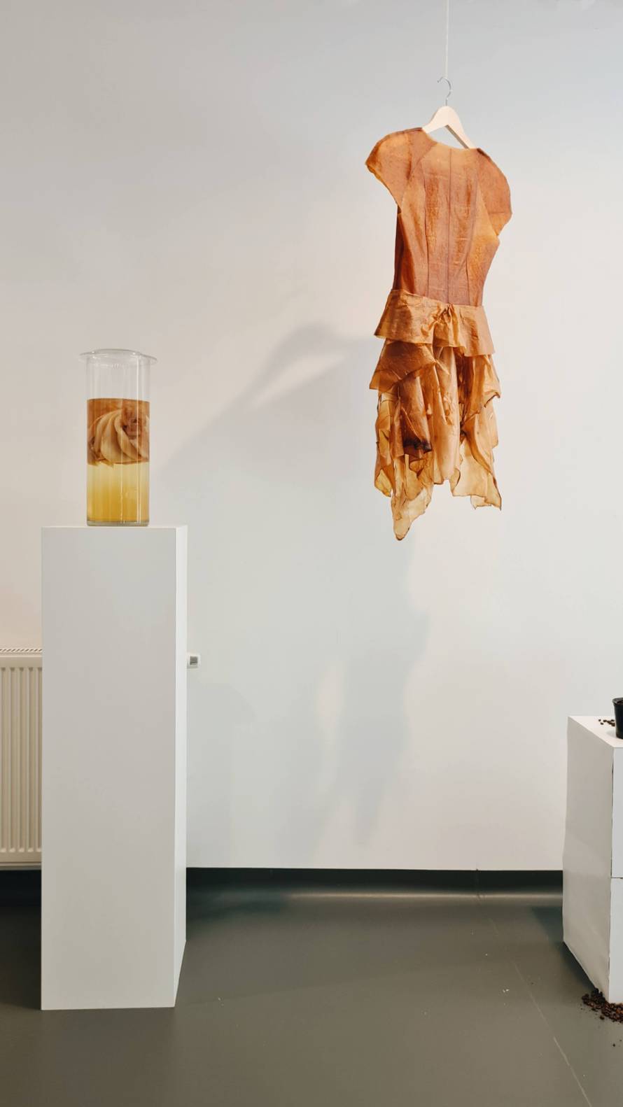 Maja je jedina biodizajnerica u regiji: 'Materijale za odjeću radim od algi, gljiva i bakterija'