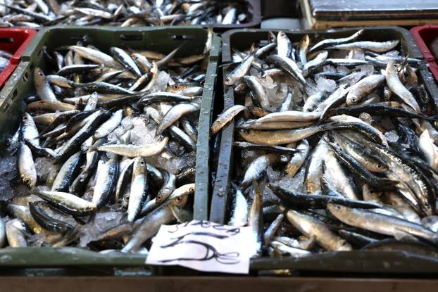 Šibenik: Ponuda ribe u šibenskoj ribarnici