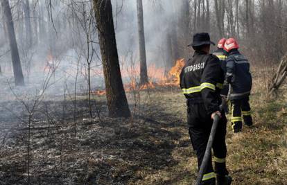 Vatrogasci uspjeli lokalizirati požar između Bilja i Podravlja