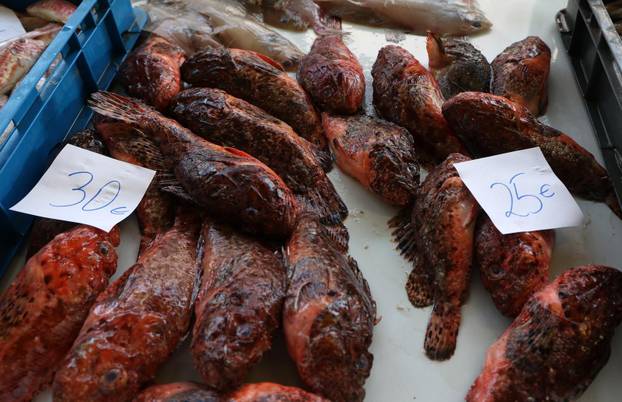 Šibenik: Ponuda ribe na korizmeni petak