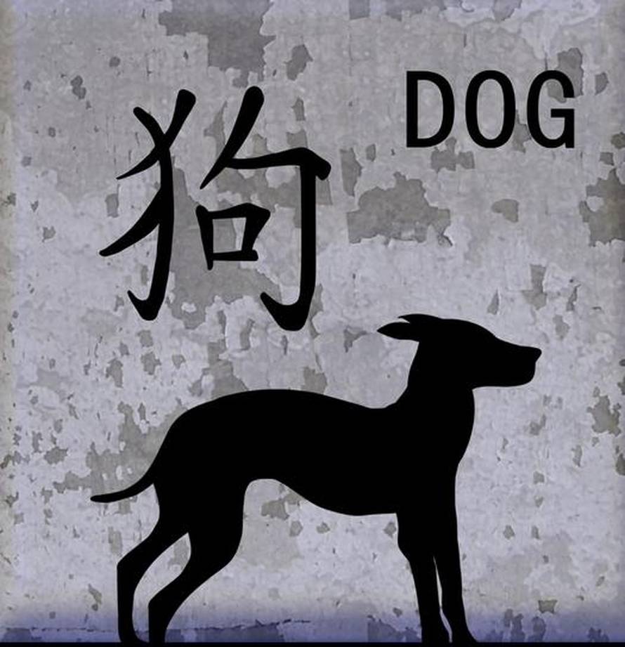 Kineski horoskop za rujan: Neki će uživati u novoj ljubavi dok druge čeka odlazak liječniku