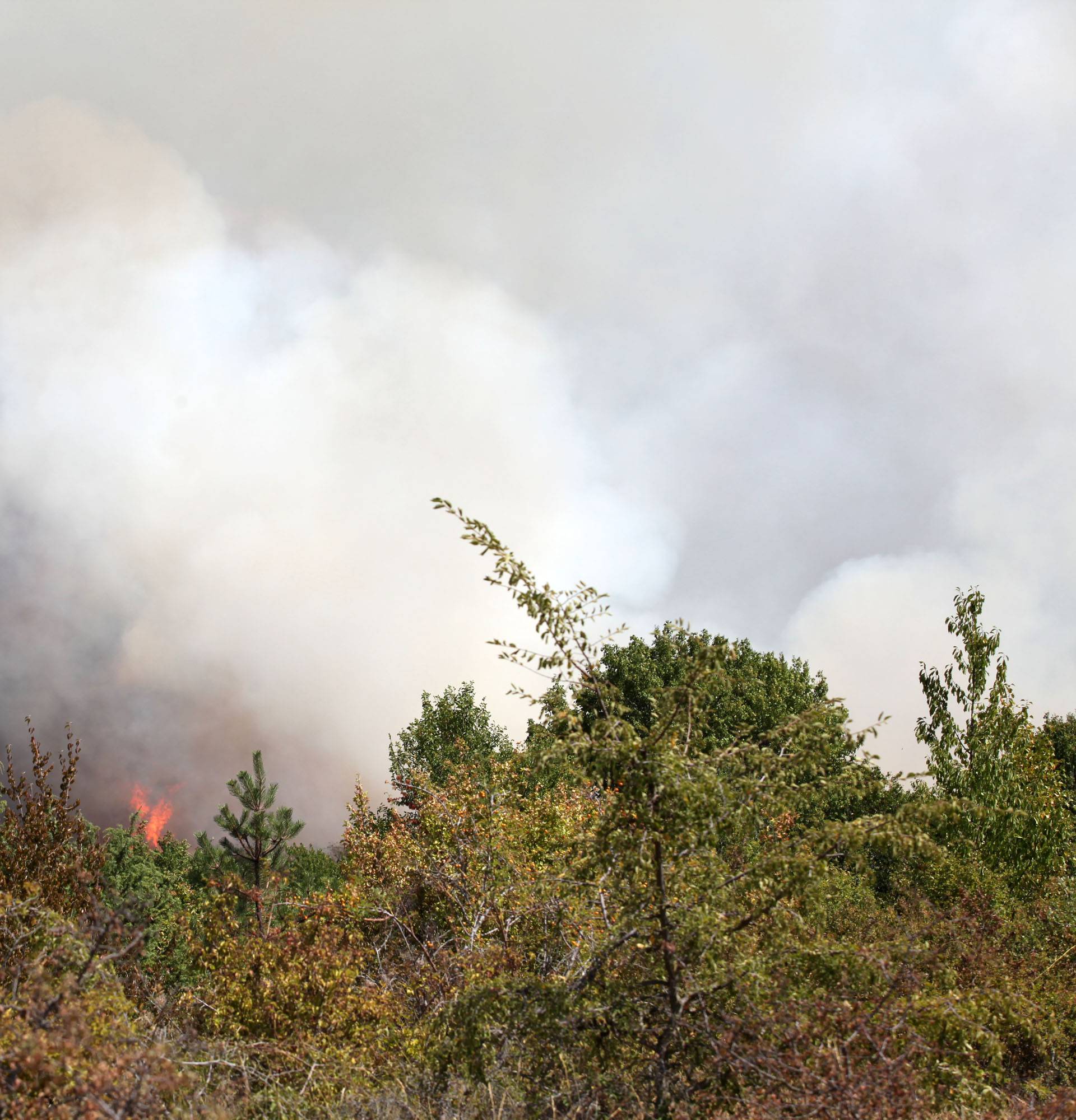 Upaljačem zapalio 25 požara: Uhitili piromana (44) iz Istre