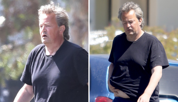 Matthew Perry: Život u slikama