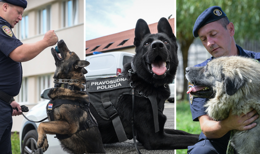 FOTO Oni su 'gazde' u Kaznionici u Lepoglavi: Upoznajte Gerryja, Jokera i neustra&scaron;ive &scaron;arplanince