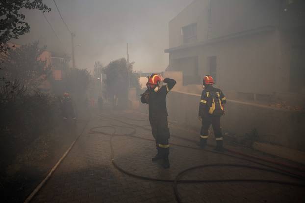 Wildfire in Kryoneri near Athens