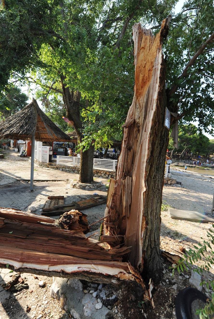 Hrvoje Jelavić/PIXSELL