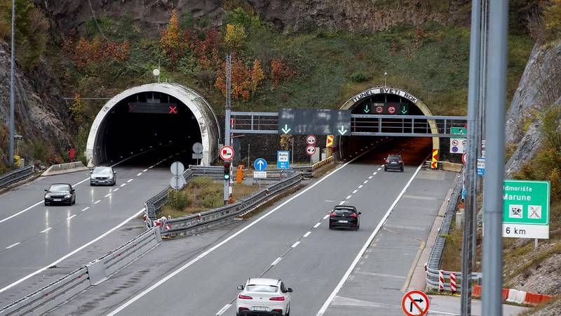 Oprezno na A1, medvjed između tunela Krpani i Svetog Roka