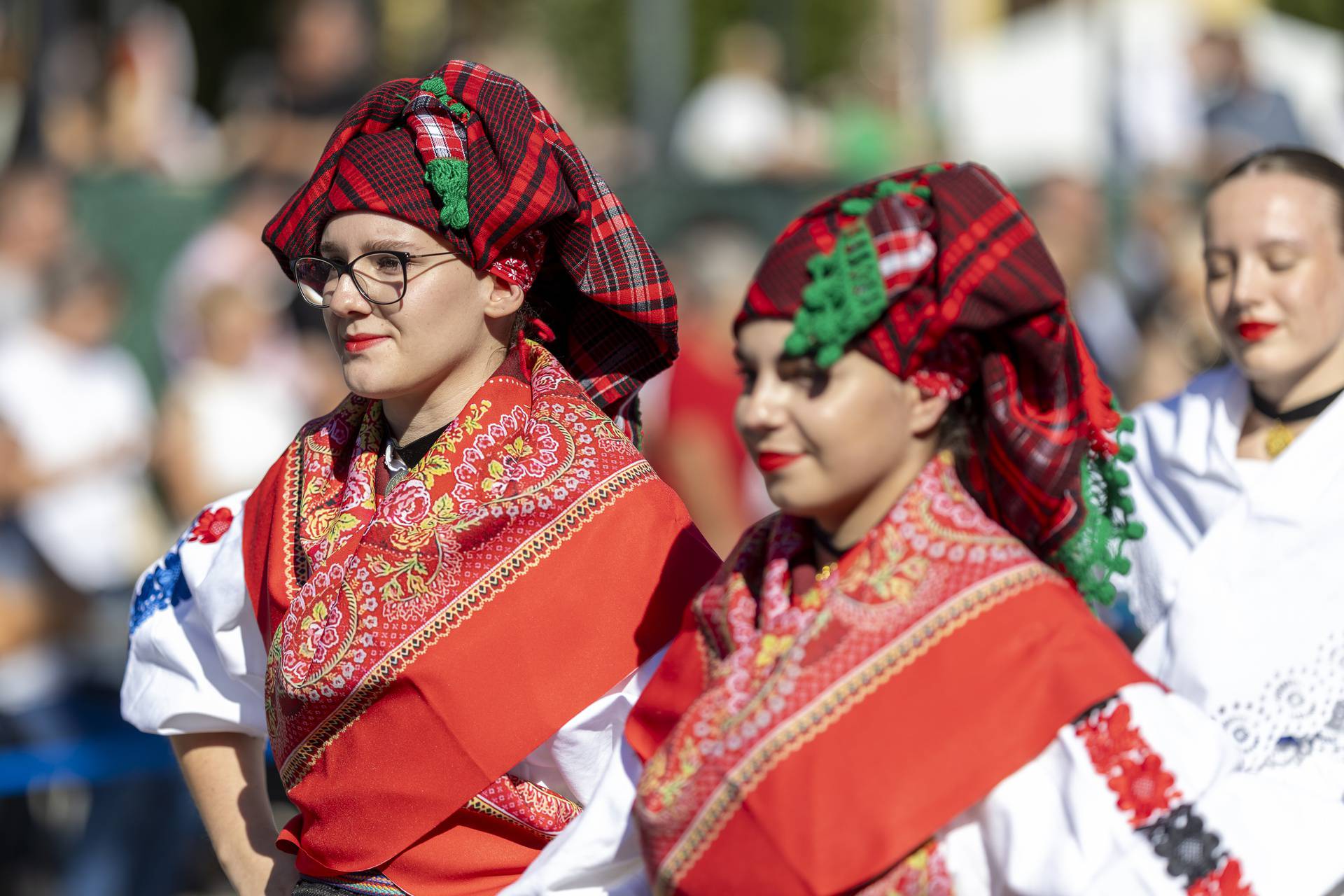 Svečani mimohod sudionika 59. Vinkovačkih jeseni