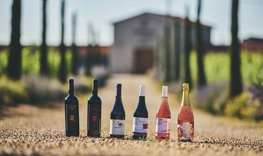 Putujte kroz povijest i okus s vinarijom iz Novigrada: Degustacije koje čuvaju tradiciju