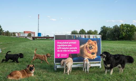 Plakat koji miriše na dom: HT pomaže izgubljenim psima