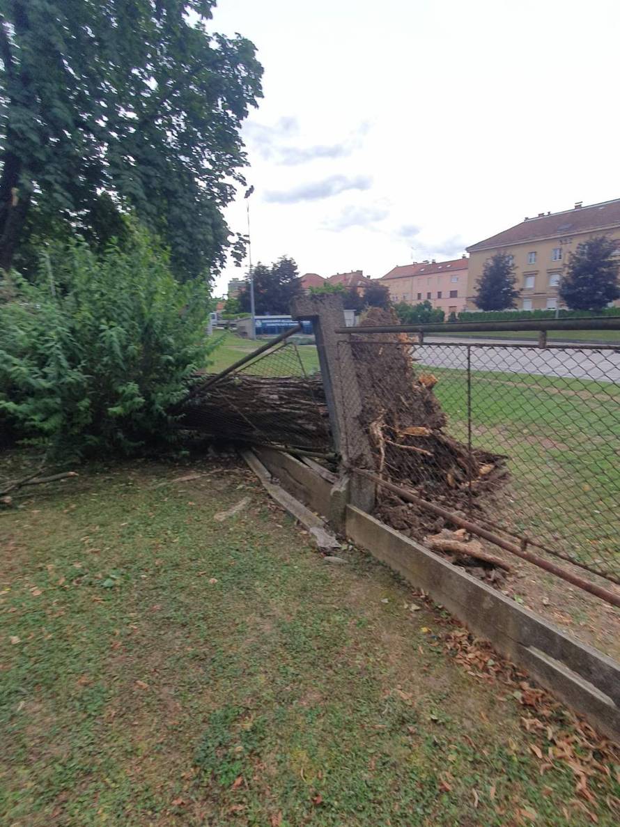 FOTO Nevrijeme u Karlovcu: Jak vjetar u par minuta napravio kaos, porušena brojna stabla