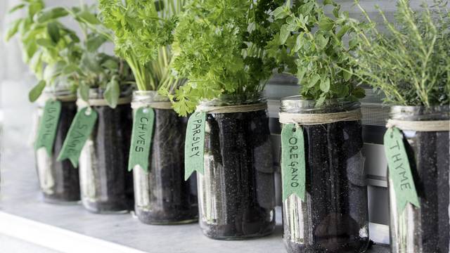 Savjeti za uspješan uzgoj začinskog bilja na balkonu