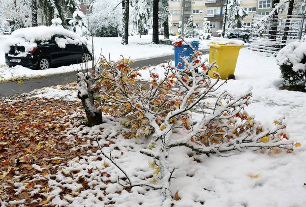 Sisak: Polomljene grane zbog težine snijega