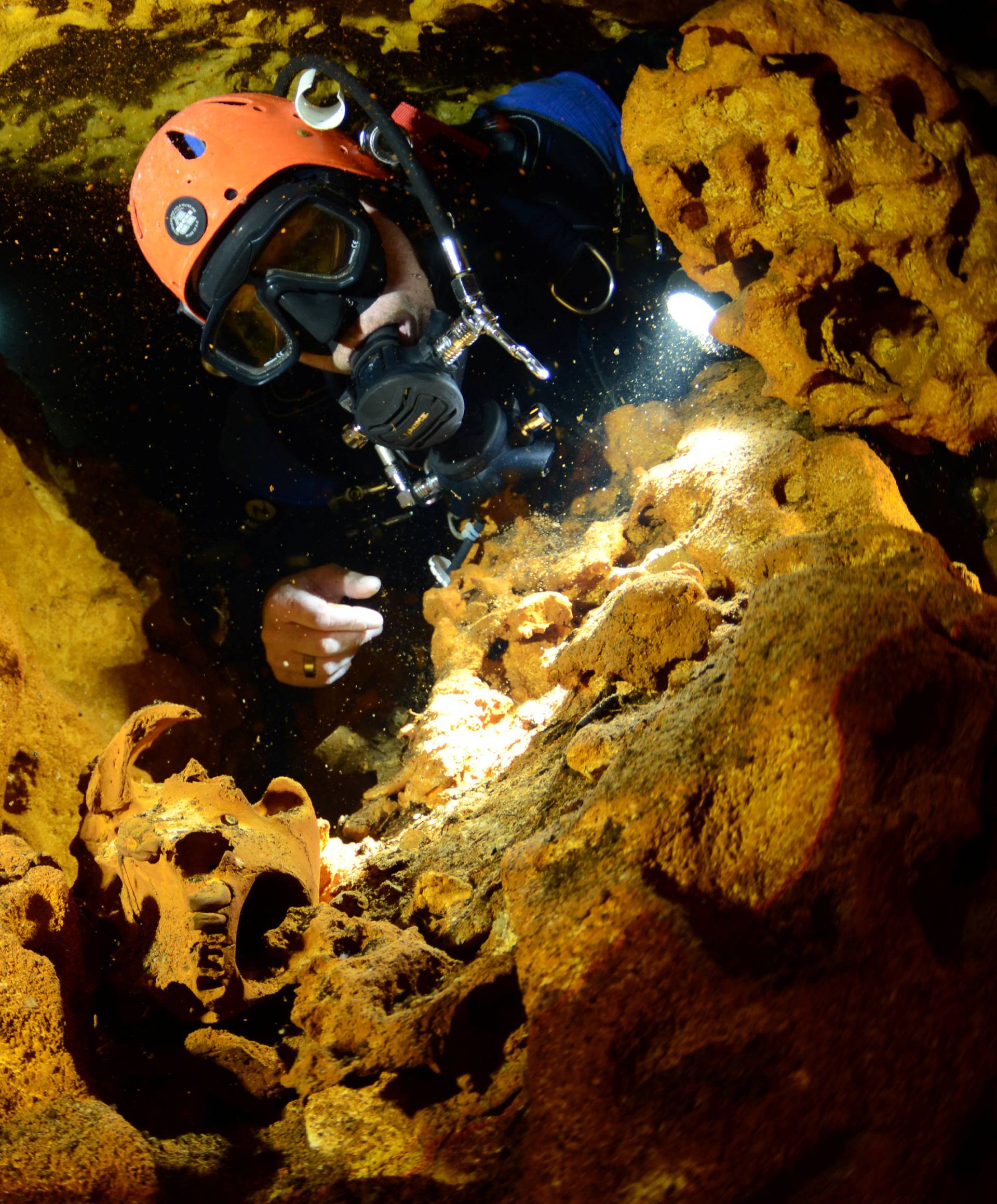 A scuba diver looks at an animal skull at Sac Aktun underwater cave system during exploration as part of the Gran Acuifero Maya Project near Tulum